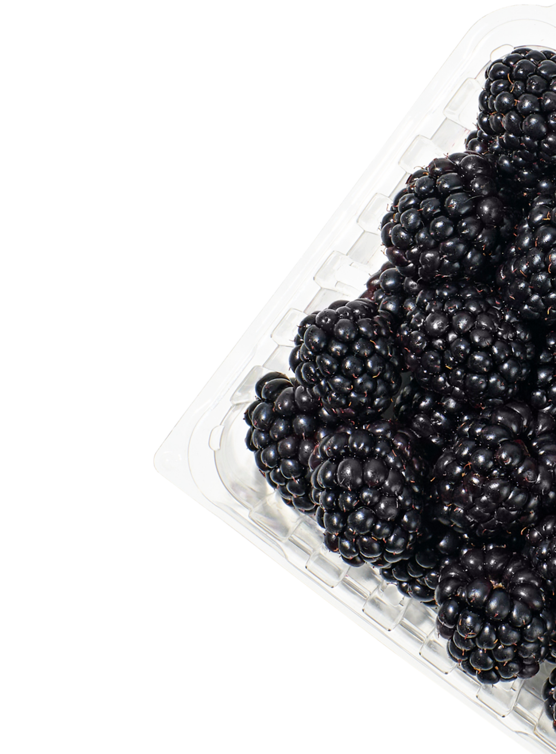 blackberries in clamshell